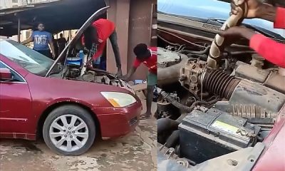 Drivers Beware: Panic In Anambra As Huge Snake Is Pulled From Car Engine - autojosh