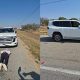 Suspect Arrested After Trying To Smuggle Stolen ₦184M Toyota Land Cruiser Out Of South Africa - autojosh