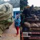 Abuja: FRSC Busted Overloaded Truck Hiding 15 Passengers And 8 Motorcycles Under Tarpaulin - autojosh