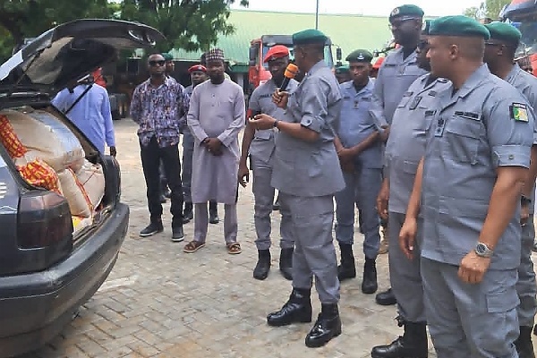 Anti-Smuggling: Kano/Jigawa Customs Seizes Vehicles With Fake Government License Plates - autojosh 