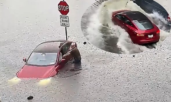 It’s Not China’s Floating Cars: Moment Raging Floodwater Sweeps Tesla Away In Connecticut